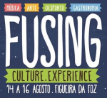 FUSING Culture Experience 2014