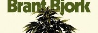 Reportagem Brant Bjork no Porto