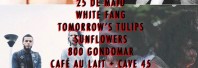Reportagem Tomorrows Tulips + The Sunflowers e White Fang + 800 Gondomar no Porto